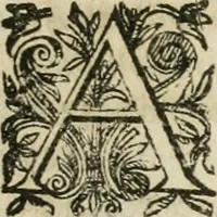 An illustration from Le parfaict ioaillier, ou, Histoire des pierreries : où sont amplement descrites leur naissance, iuste prix, moyen de les cognoistre, & se garder des contre-faites, facultez medecinales, & proprietez curieuses (1644)
