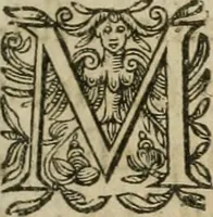 An illustration from Le parfaict ioaillier, ou, Histoire des pierreries : où sont amplement descrites leur naissance, iuste prix, moyen de les cognoistre, & se garder des contre-faites, facultez medecinales, & proprietez curieuses (1644)