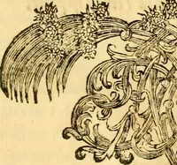 Picture 5 of 56 from Le parfait jardinier, ou, Instruction pour les jardins fruitiers et potagers : avec une Trait© des oranges, suivi de Reflexions sur l'agriculture (1695), leaf 18