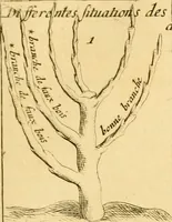 Picture 26 of 56 from Le parfait jardinier, ou, Instruction pour les jardins fruitiers et potagers : avec une Trait© des oranges, suivi de Reflexions sur l'agriculture (1695), leaf 386