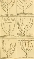 Picture 27 of 56 from Le parfait jardinier, ou, Instruction pour les jardins fruitiers et potagers : avec une Trait© des oranges, suivi de Reflexions sur l'agriculture (1695), leaf 386