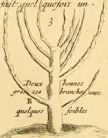 Picture 28 of 56 from Le parfait jardinier, ou, Instruction pour les jardins fruitiers et potagers : avec une Trait© des oranges, suivi de Reflexions sur l'agriculture (1695), leaf 386