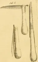 An illustration from Le parfait jardinier, ou, Instruction pour les jardins fruitiers et potagers : avec une Trait© des oranges, suivi de Reflexions sur l'agriculture (1695)