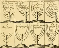 Picture 35 of 56 from Le parfait jardinier, ou, Instruction pour les jardins fruitiers et potagers : avec une Trait© des oranges, suivi de Reflexions sur l'agriculture (1695), leaf 410