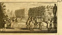 An illustration from Le parfait jardinier, ou, Instruction pour les jardins fruitiers et potagers : avec une Trait© des oranges, suivi de Reflexions sur l'agriculture (1695)