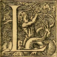 An illustration from Le parfait jardinier, ou, Instruction pour les jardins fruitiers et potagers : avec une Trait© des oranges, suivi de Reflexions sur l'agriculture (1695)