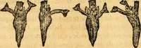 Picture 46 of 56 from Le parfait jardinier, ou, Instruction pour les jardins fruitiers et potagers : avec une Trait© des oranges, suivi de Reflexions sur l'agriculture (1695), leaf 551
