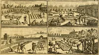 An illustration from Le parfait jardinier, ou, Instruction pour les jardins fruitiers et potagers : avec une Trait© des oranges, suivi de Reflexions sur l'agriculture (1695)