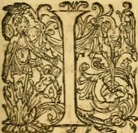 An illustration from Le parfait jardinier, ou, Instruction pour les jardins fruitiers et potagers : avec une Trait© des oranges, suivi de Reflexions sur l'agriculture (1695)