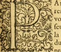 An illustration from Le parfait jardinier, ou, Instruction pour les jardins fruitiers et potagers : avec une Trait© des oranges, suivi de Reflexions sur l'agriculture (1695)