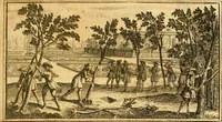 Picture 54 of 56 from Le parfait jardinier, ou, Instruction pour les jardins fruitiers et potagers : avec une Trait© des oranges, suivi de Reflexions sur l'agriculture (1695), leaf 708