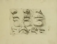 Picture 1 of 2 from Il uero modo et ordine per dissegnar tutte le parti et membra del corpo humano (1608), leaf 23
