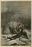 An illustration from Le pays des fourrures (1873)