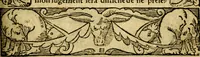 An illustration from Le pegme de Pierre Covstav (1560)