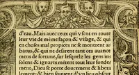 An illustration from Le pegme de Pierre Covstav (1560)