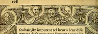 An illustration from Le pegme de Pierre Covstav (1560)