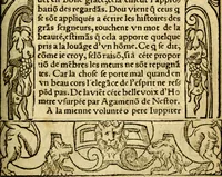 An illustration from Le pegme de Pierre Covstav (1560)