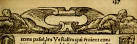 An illustration from Le pegme de Pierre Covstav (1560)