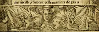 An illustration from Le pegme de Pierre Covstav (1560)