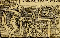 An illustration from Le pegme de Pierre Covstav (1560)