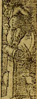 An illustration from Le pegme de Pierre Covstav (1560)