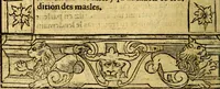 An illustration from Le pegme de Pierre Covstav (1560)