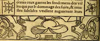 An illustration from Le pegme de Pierre Covstav (1560)