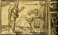 An illustration from Le pegme de Pierre Covstav (1560)