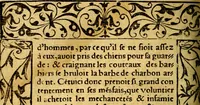 An illustration from Le pegme de Pierre Covstav (1560)