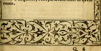 An illustration from Le pegme de Pierre Covstav (1560)
