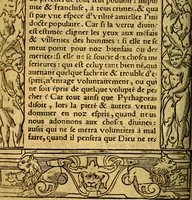 An illustration from Le pegme de Pierre Covstav (1560)