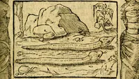An illustration from Le pegme de Pierre Covstav (1560)