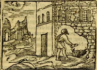 An illustration from Le pegme de Pierre Covstav (1560)