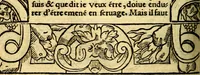 An illustration from Le pegme de Pierre Covstav (1560)