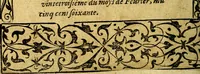 An illustration from Le pegme de Pierre Covstav (1560)