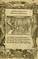 An illustration from Le pegme de Pierre Covstav (1560)