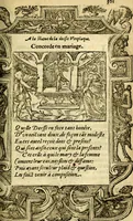 An illustration from Le pegme de Pierre Covstav (1560)