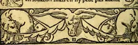 An illustration from Le pegme de Pierre Covstav (1560)