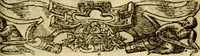 An illustration from Le pegme de Pierre Covstav (1560)