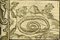 An illustration from Le pegme de Pierre Covstav (1560)