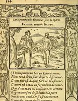 An illustration from Le pegme de Pierre Covstav (1560)
