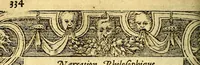 An illustration from Le pegme de Pierre Covstav (1560)