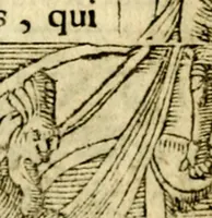 An illustration from Le pegme de Pierre Covstav (1560)
