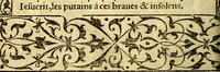 An illustration from Le pegme de Pierre Covstav (1560)