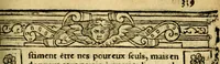 An illustration from Le pegme de Pierre Covstav (1560)