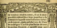 An illustration from Le pegme de Pierre Covstav (1560)