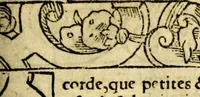 An illustration from Le pegme de Pierre Covstav (1560)
