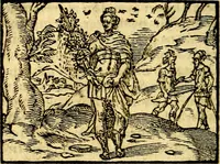An illustration from Le pegme de Pierre Covstav (1560)