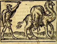 An illustration from Le pegme de Pierre Covstav (1560)