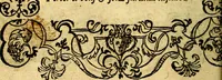 An illustration from Le pegme de Pierre Covstav (1560)